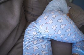 Человек от женщин порно